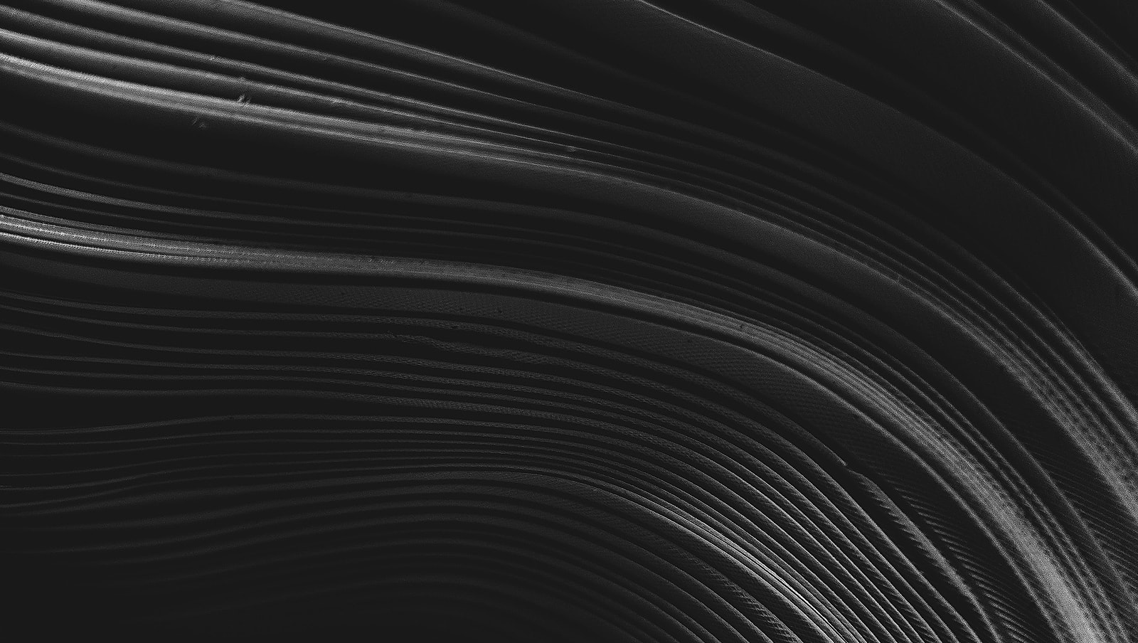 Dark water surface with subtle ripples.